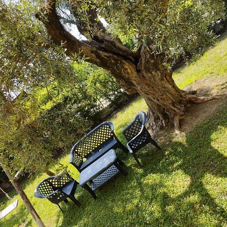 شقة Magnolia House سكانتْسانو المظهر الخارجي الصورة
